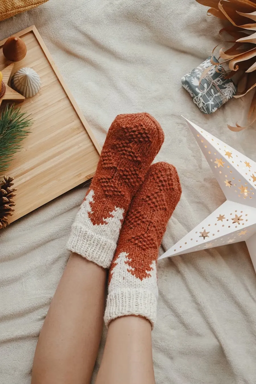 Socket d'hiver
